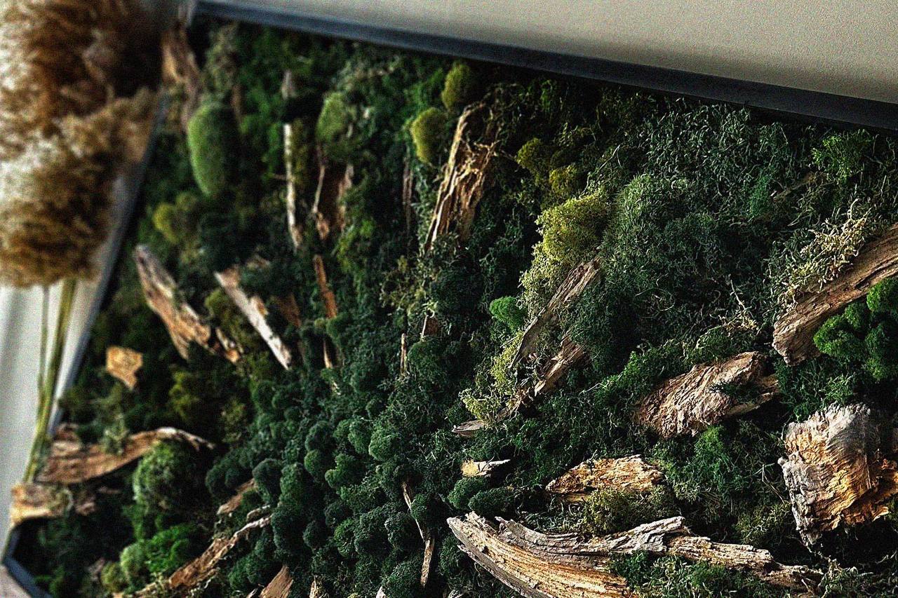 MOSS DECORE №8