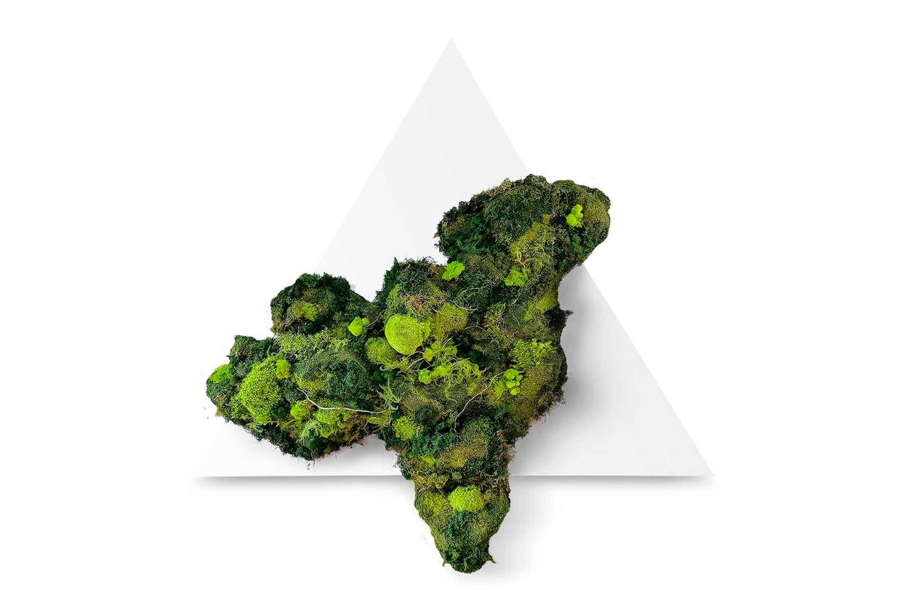 MOSS DECORE №2