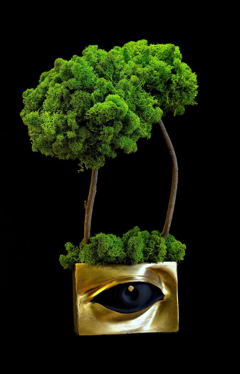 MOSS DECORE №11