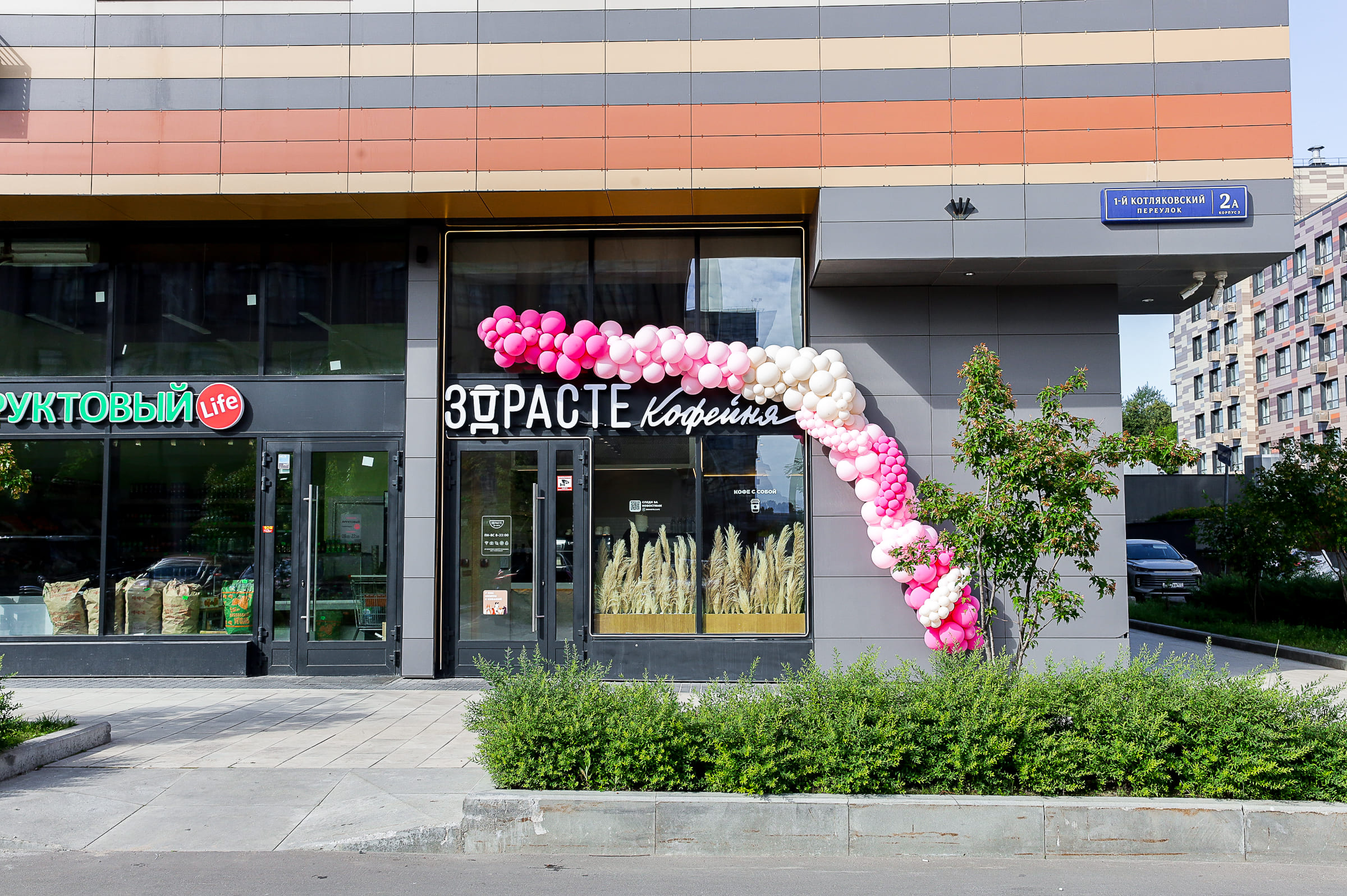 Здрасте №8