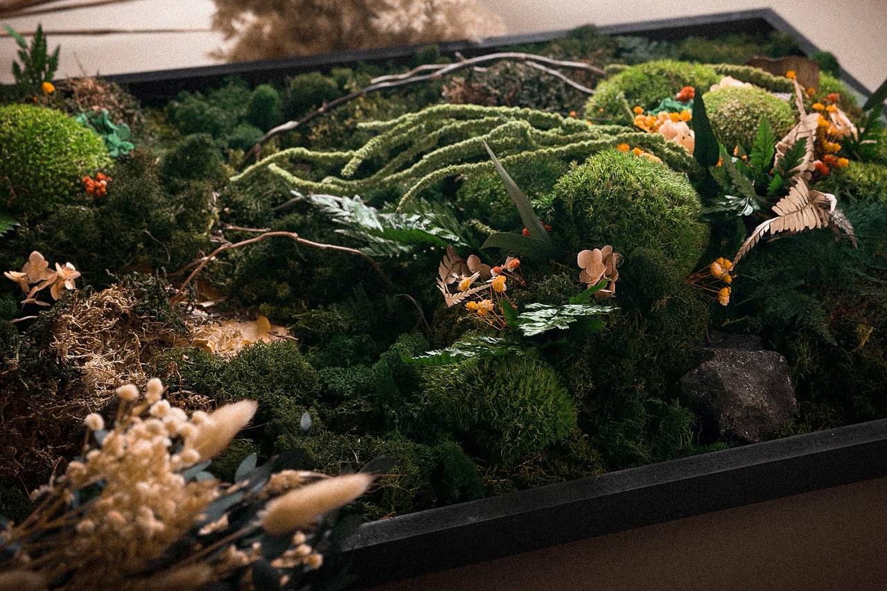 MOSS DECORE №4